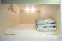 Двухместная капсула в общем номере с 2 капсулами двуспальная кровать