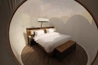 Двухместный люкс (двуспальная кровать) (кровать king size)
