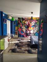 Квартира - студия Синий тигр в центре