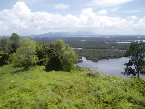 Национальный парк Данау-Сентарум
