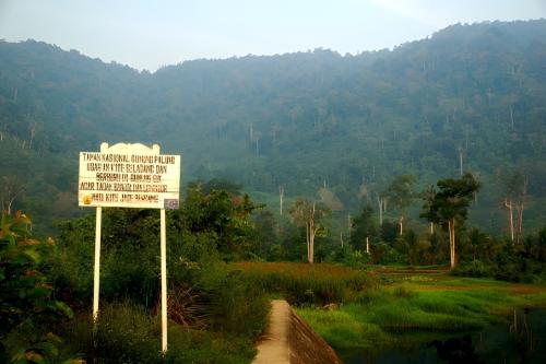 Национальный парк Гунунг-Палунг