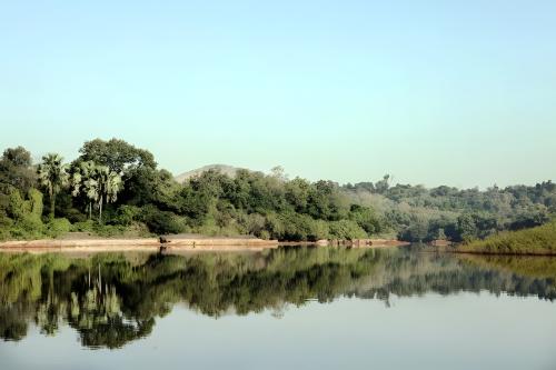 Национальный парк реки Гамбия