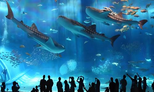 Аквариум «Hurghada Grand Aquarium»