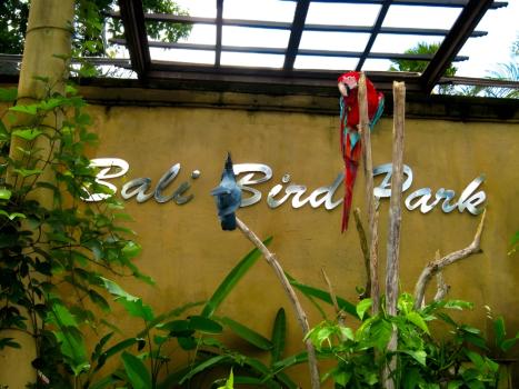Парк птиц на Бали