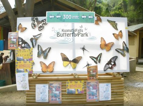 Парк бабочек Куанг Си